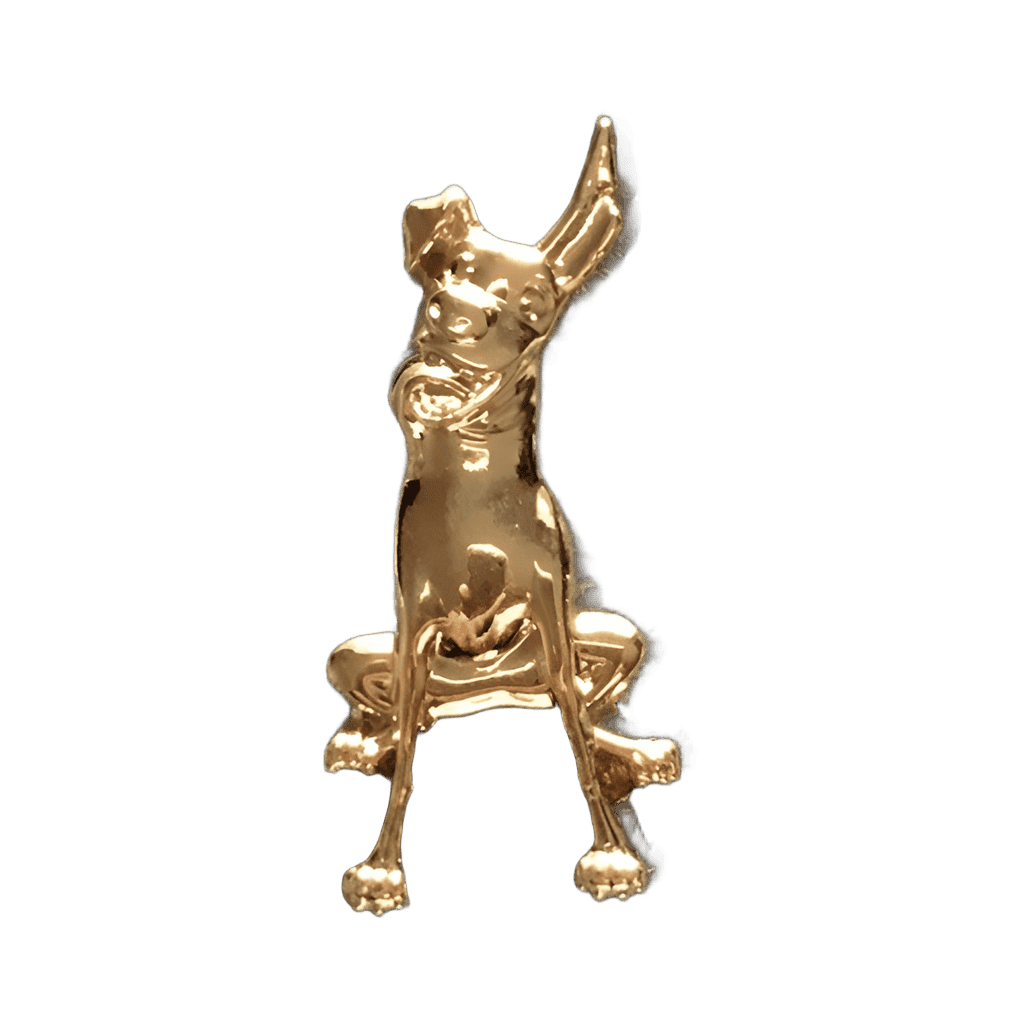 Dante Disney pin