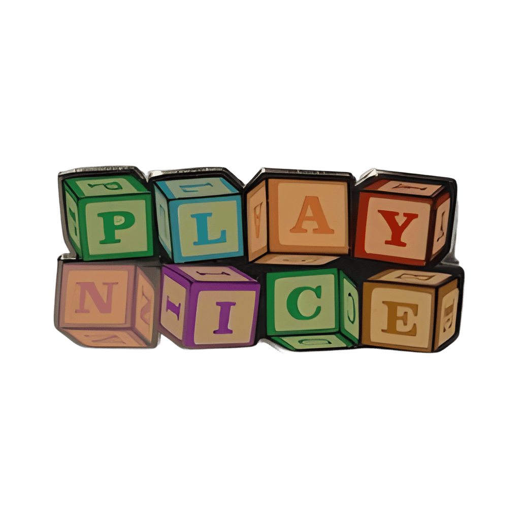 Play Nice Disney pin