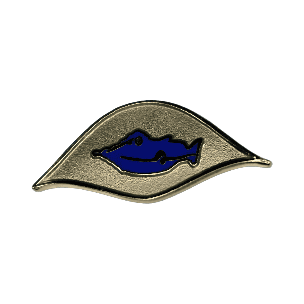Mysterious Island Disney pin