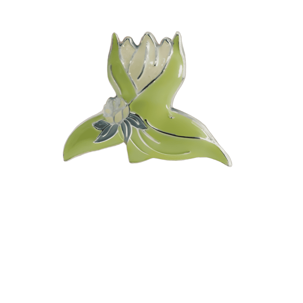 Tiana Disney pin