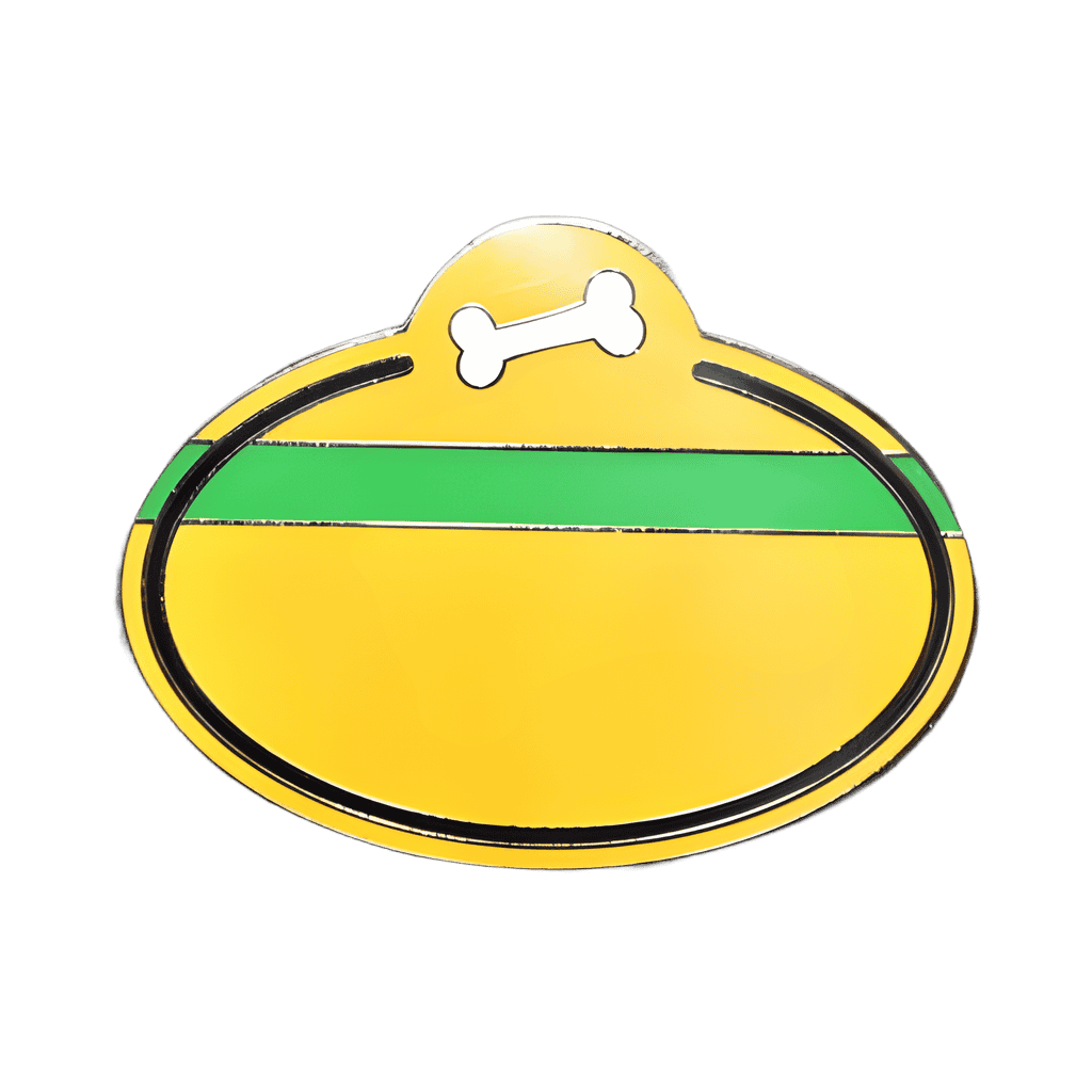 Pluto Disney pin