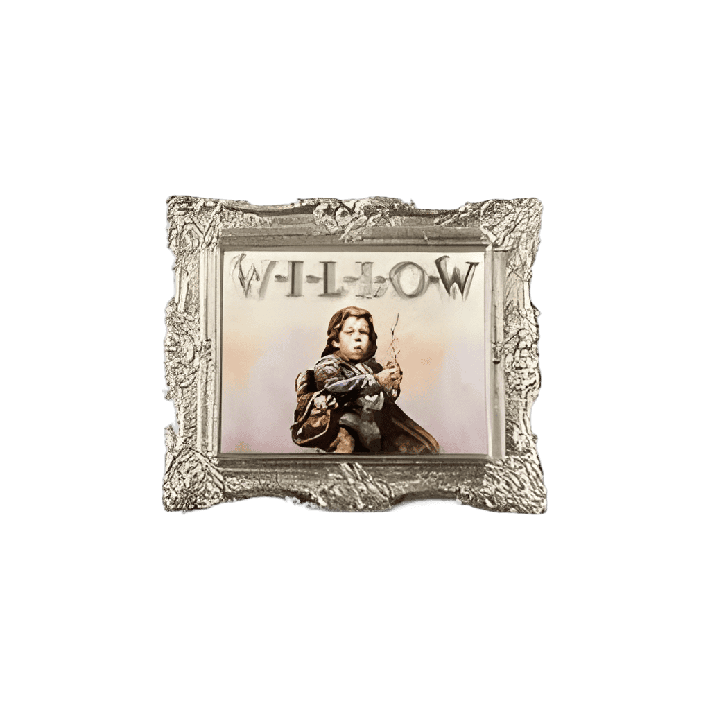 Lucas Film - Silver Frame Willow Disney pin