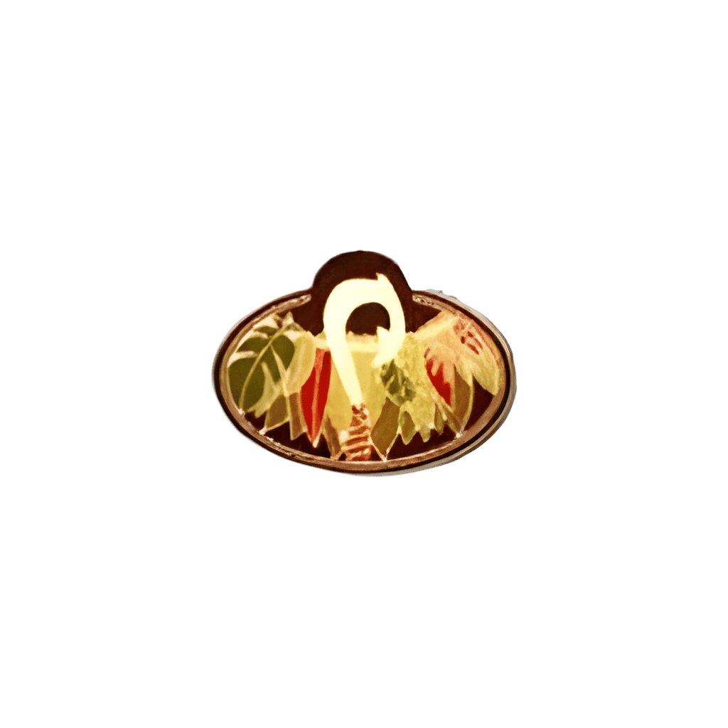Maui Disney pin