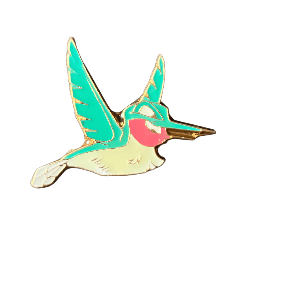 Flit Disney pin