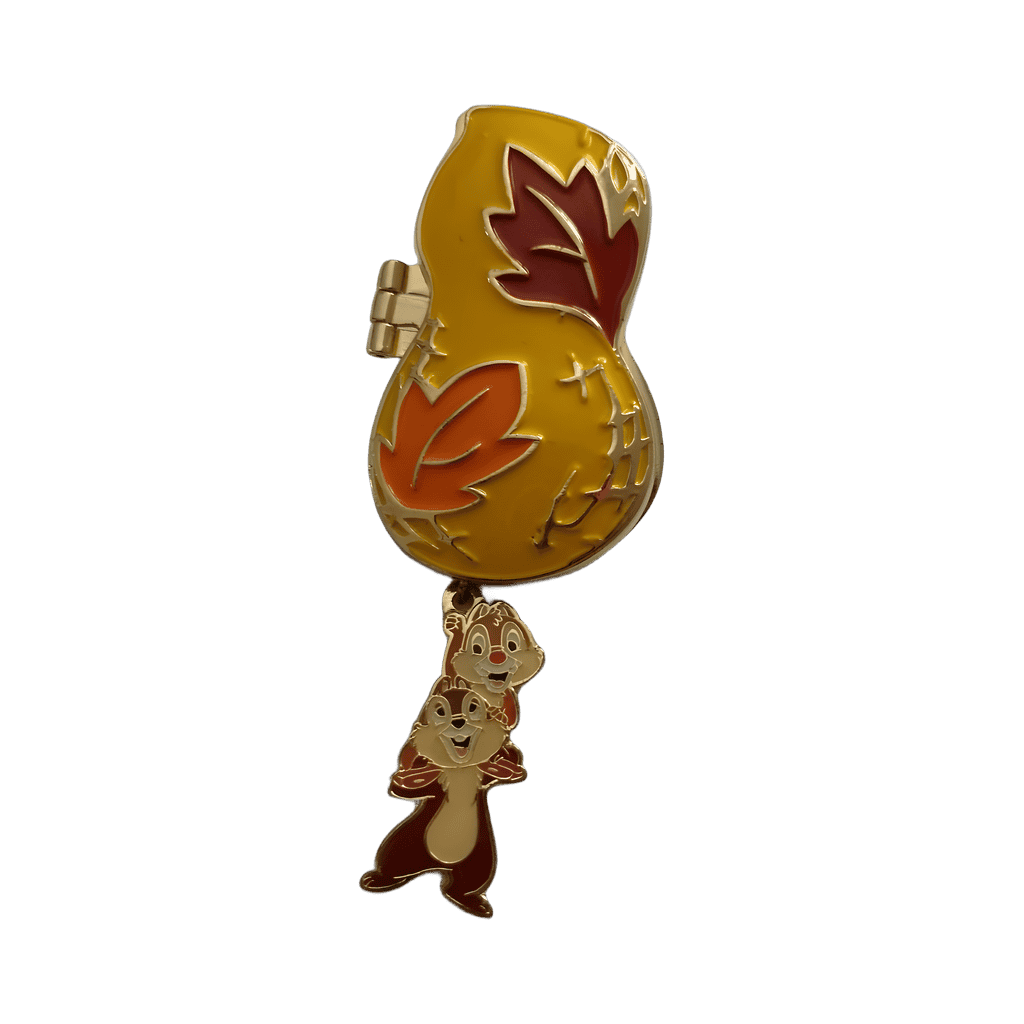 Chip and Dale Disney pin