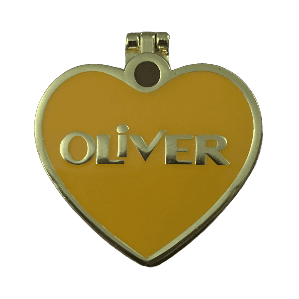 Oliver Heart Tag Disney pin