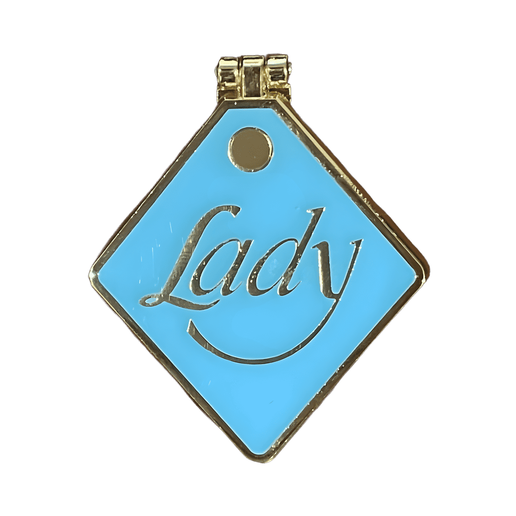 Lady Diamond Tag Disney pin
