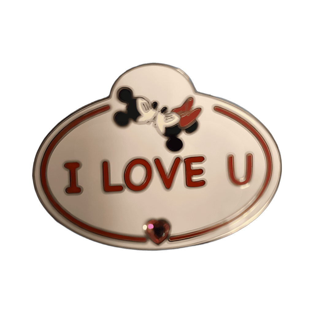 Mickey & Minnie Disney pin