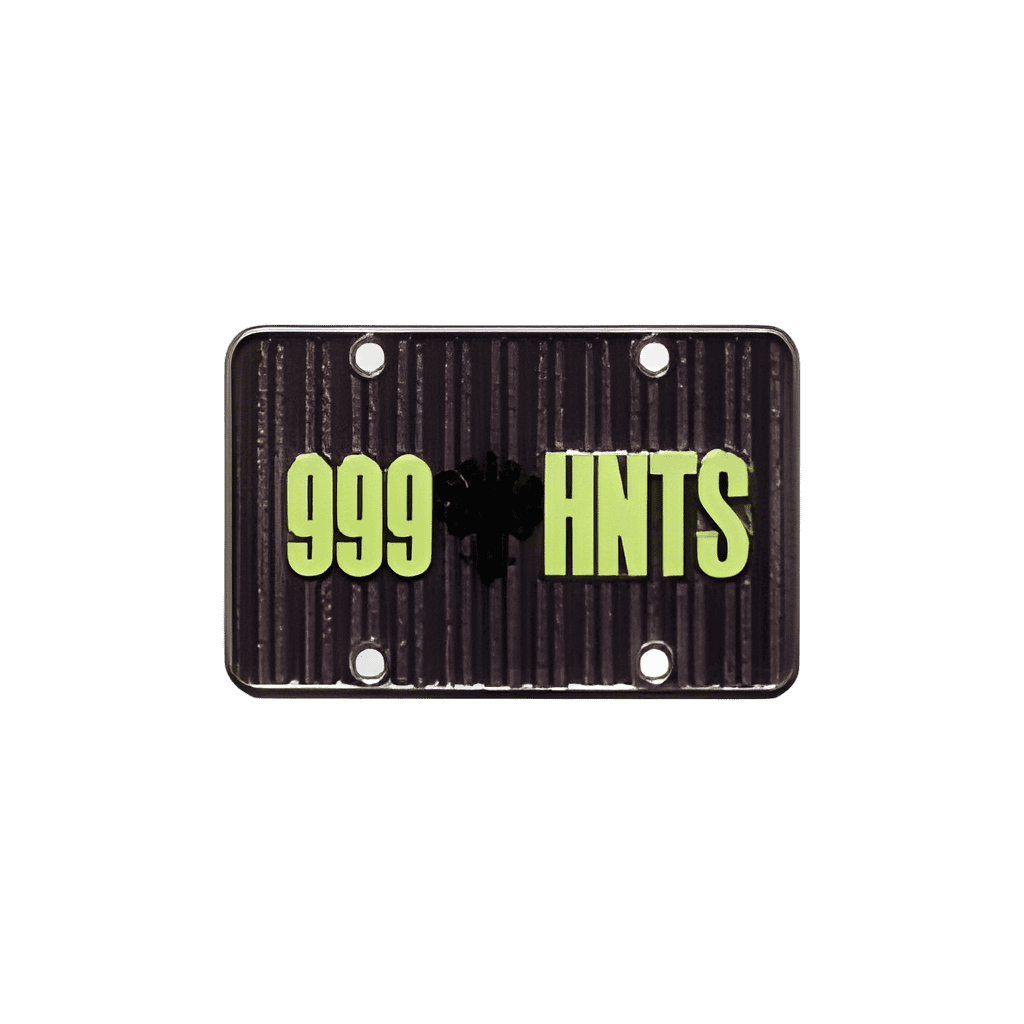 999 HNTS - License Plate Disney pin