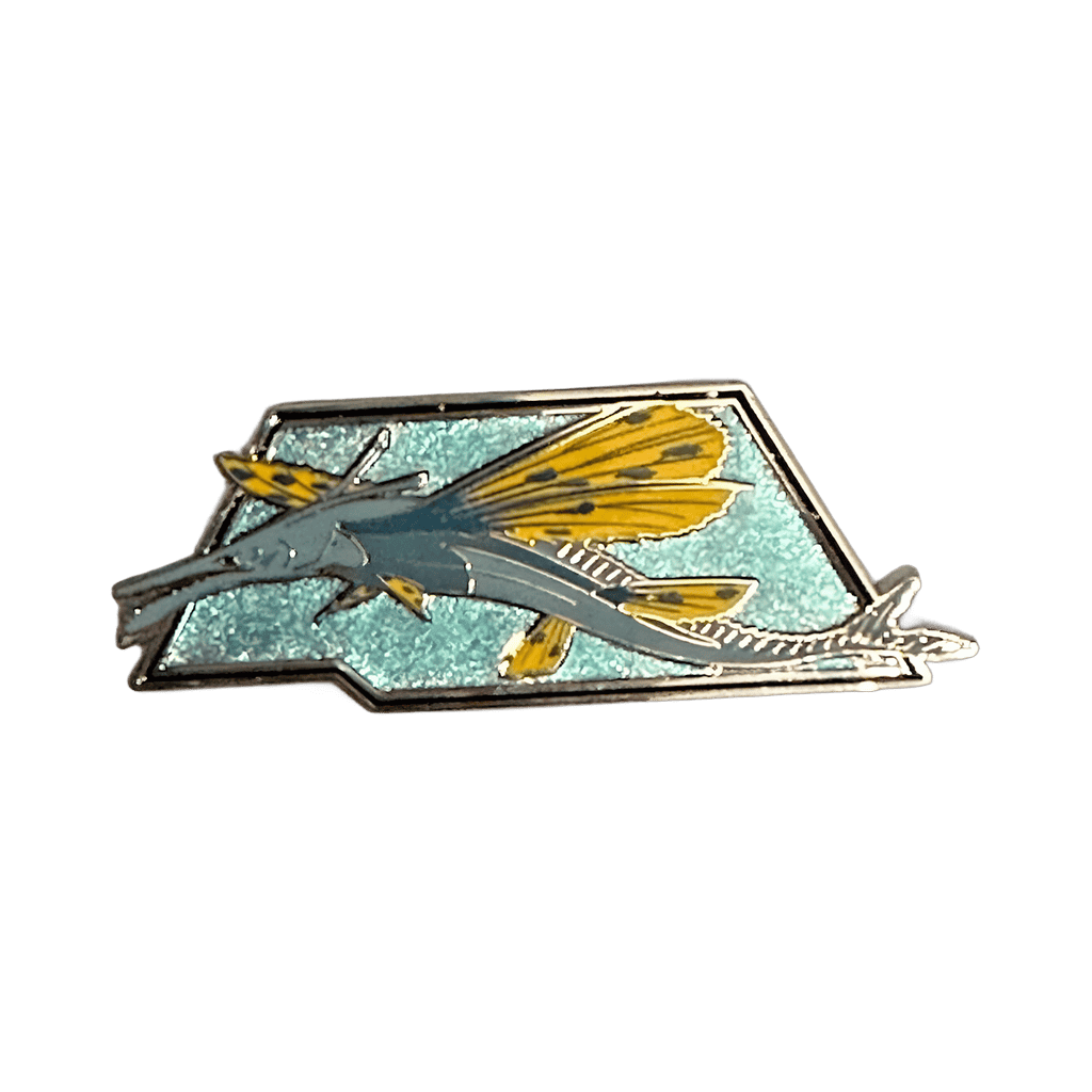 Skimwing Disney pin