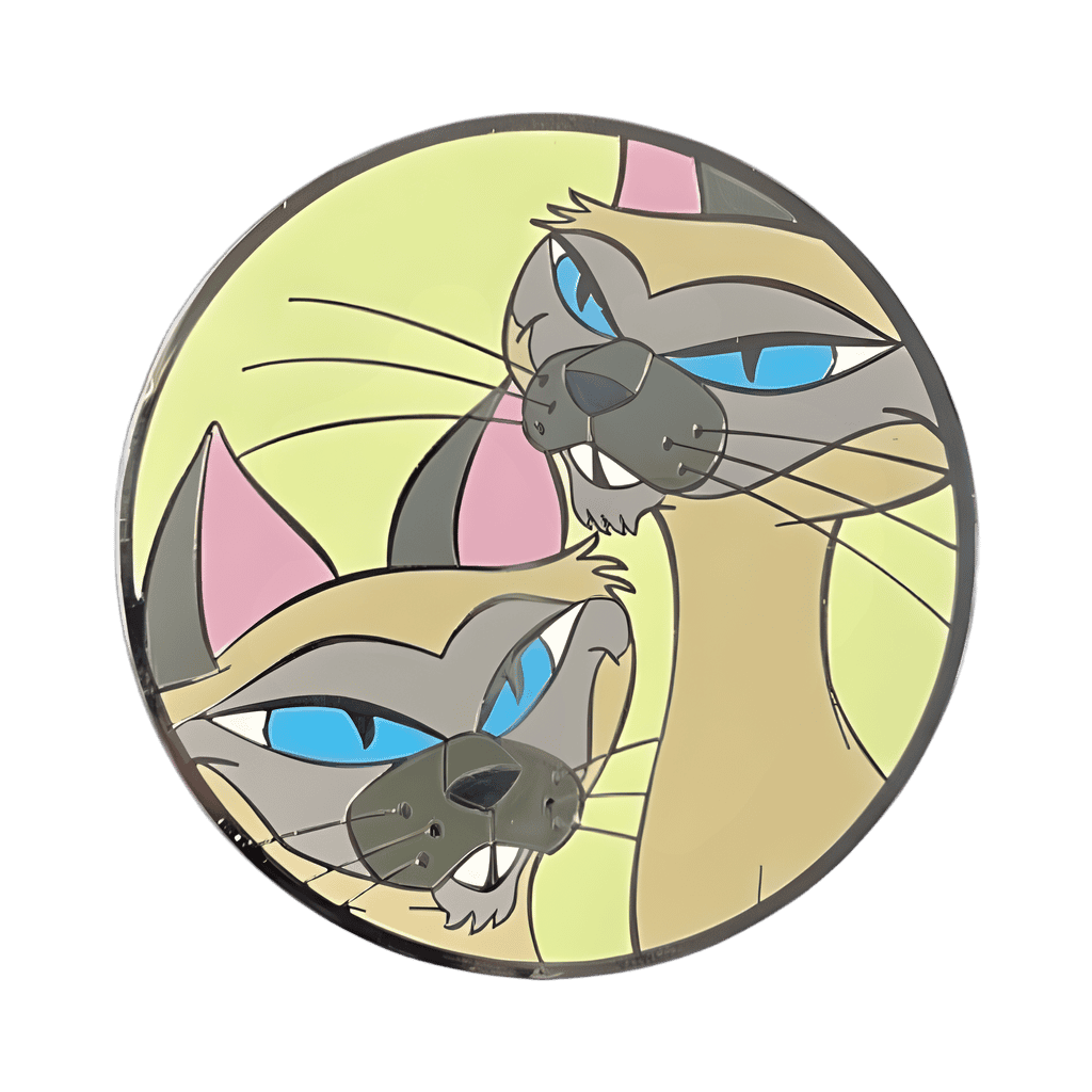 Si and Am Disney pin