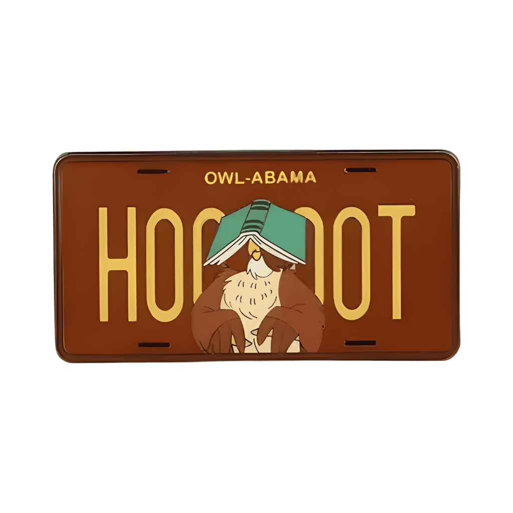 Owl Disney pin