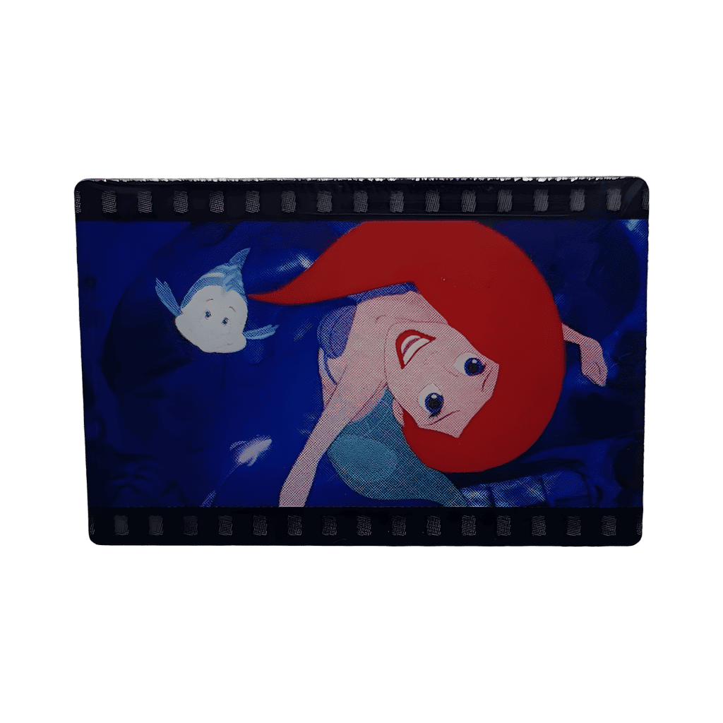 The Little Mermaid In Concert - Ariel and Flounder Disney pin