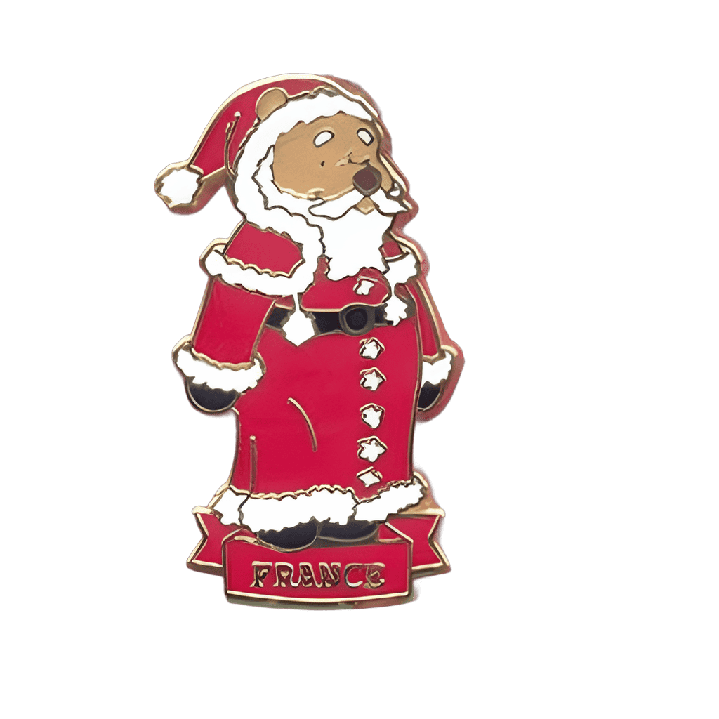 France Disney pin