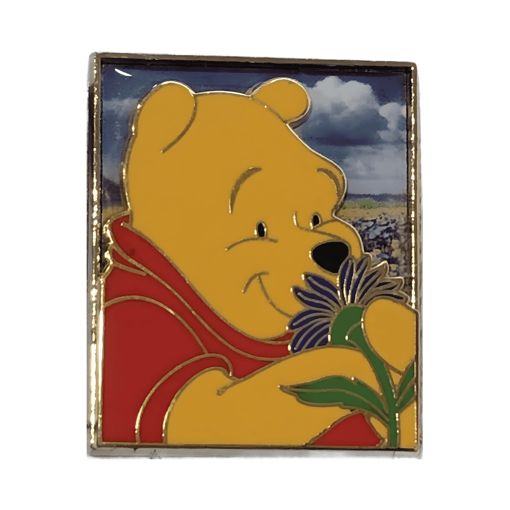 Winnie The Pooh Disney pin