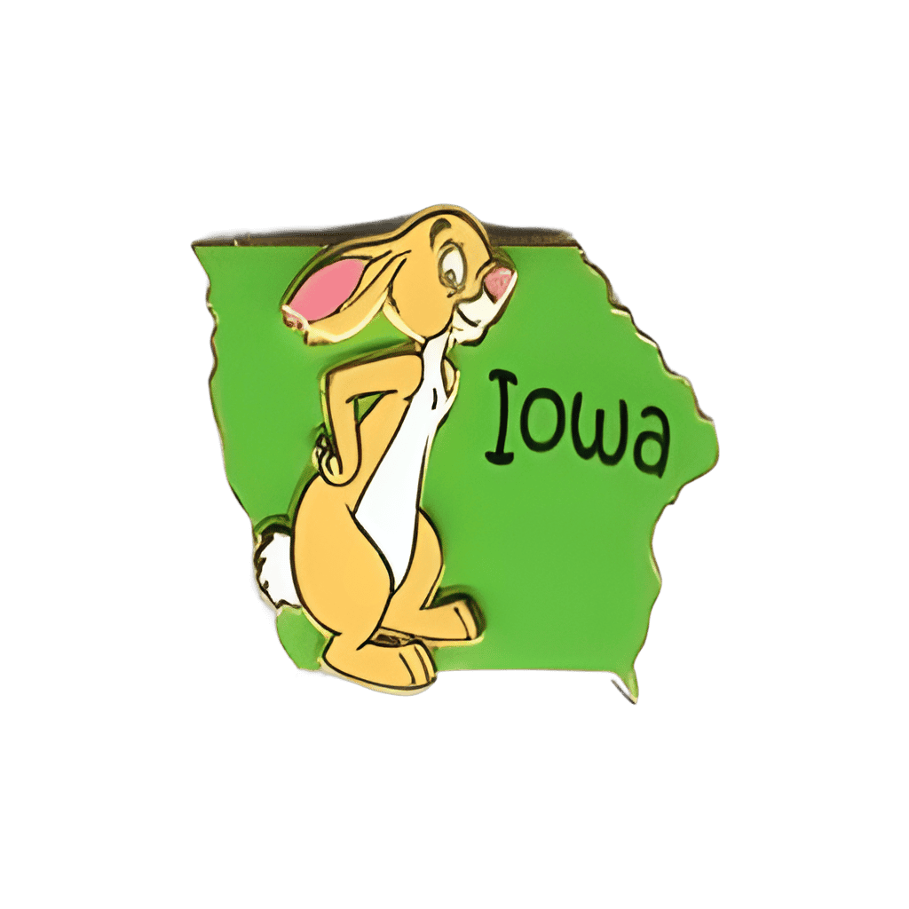 Iowa - Rabbit Disney pin