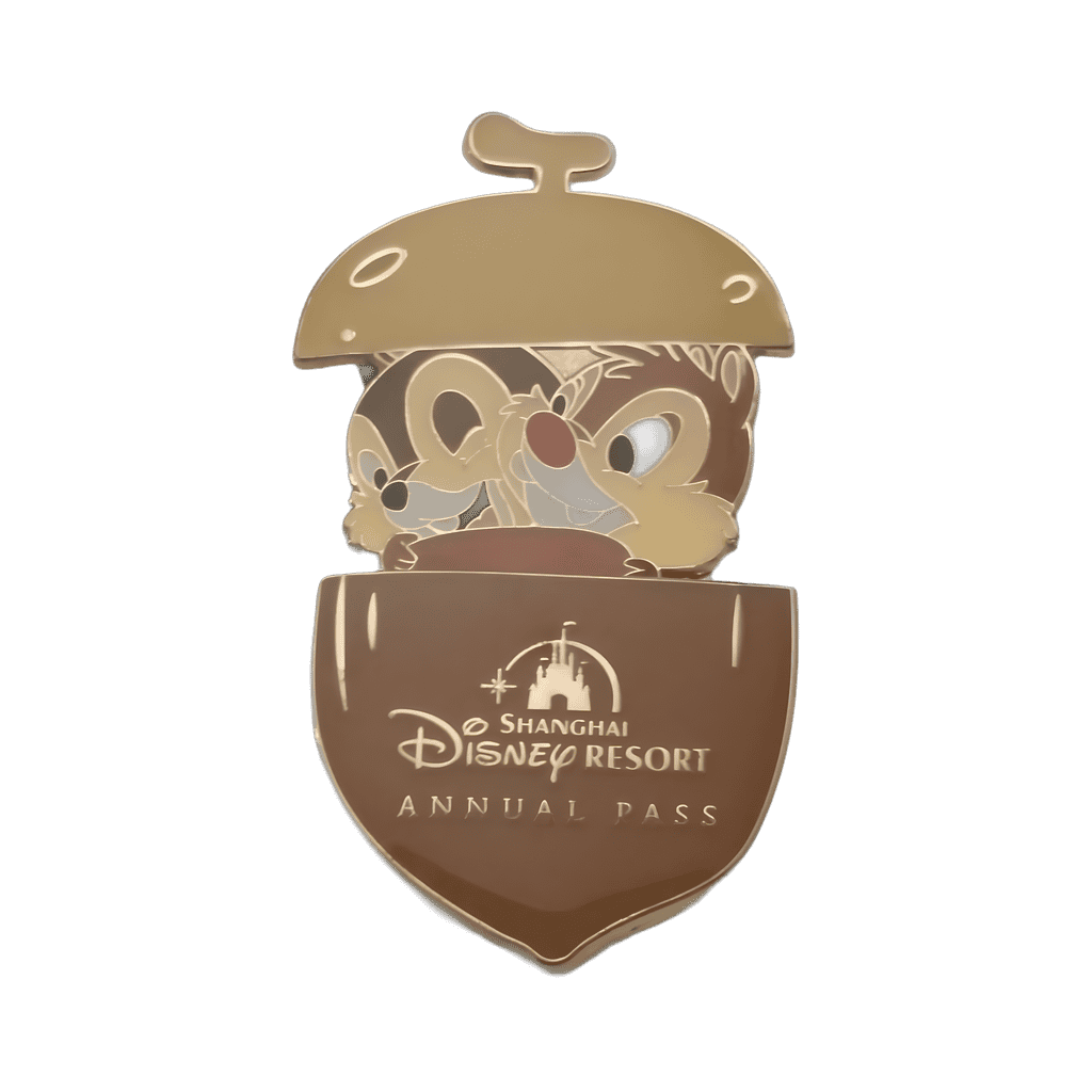Annual Pass - Chip & Dale Disney pin