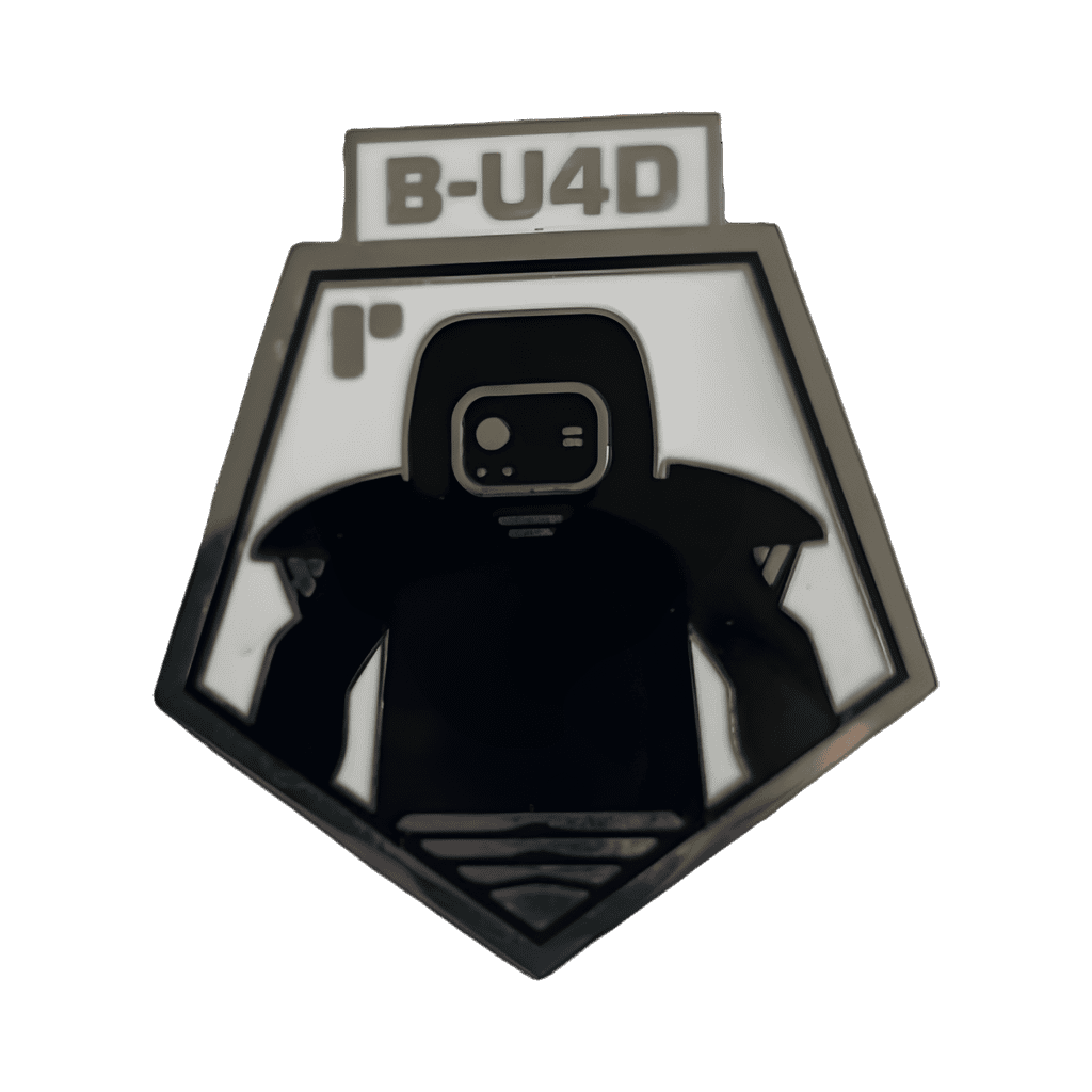 B-U4D Disney pin