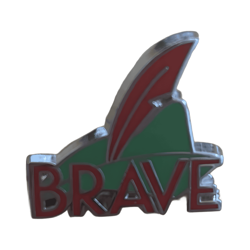 Peter Pan - Brave Disney pin