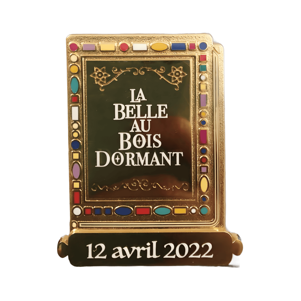 Sleeping Beauty Livre/Book Disney pin