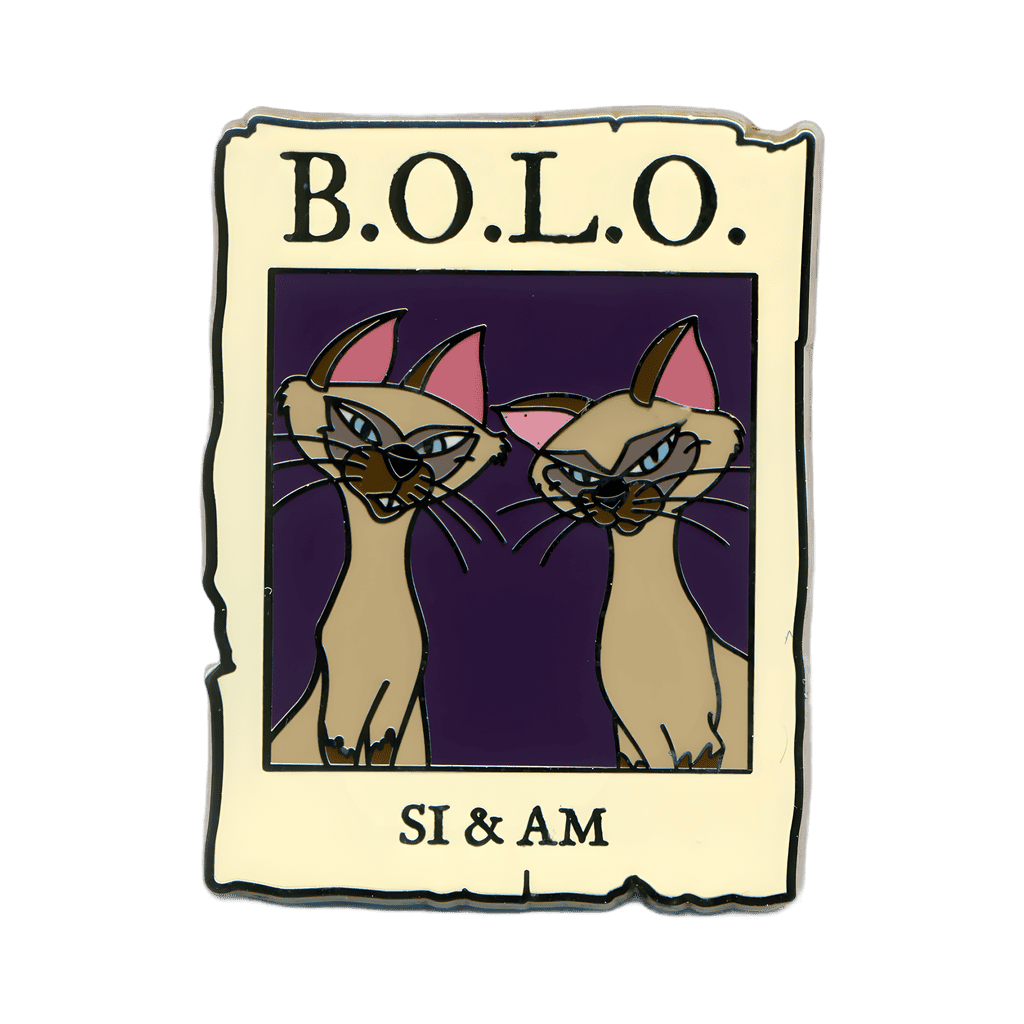 #3 - Disney Villains - Cast Exclusive - Si & Am Disney pin