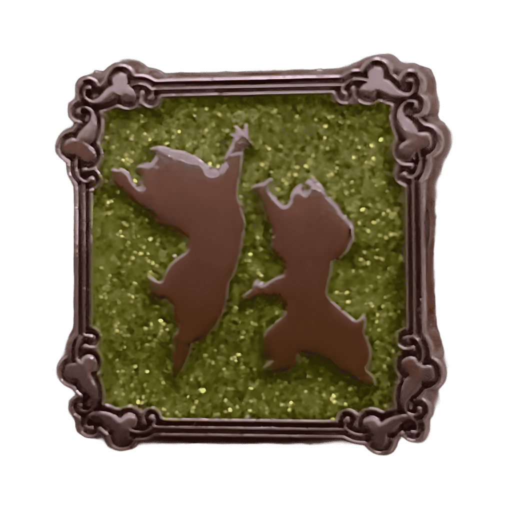 Chip and Dale Disney pin