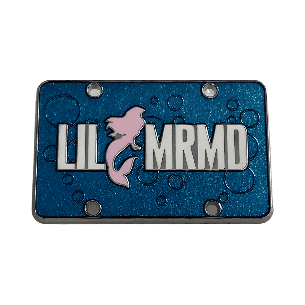 LIL MRMD - License Plate Disney pin