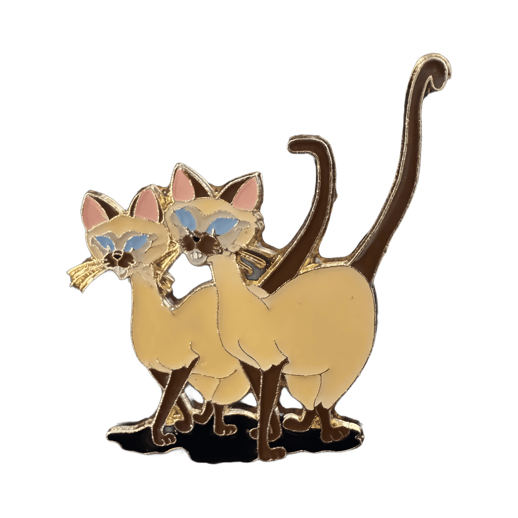 Si and Am Disney pin