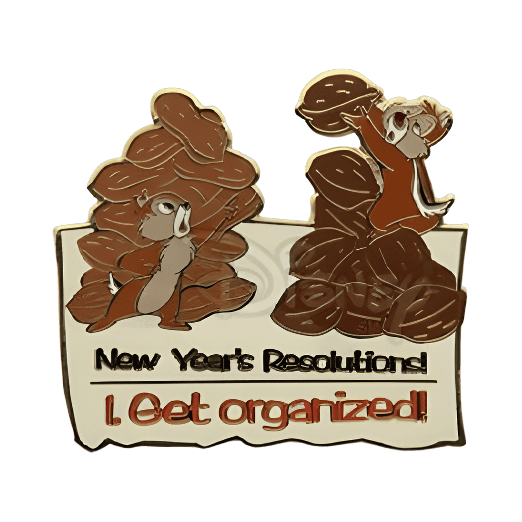 Get Organized - Chip & Dale Disney pin