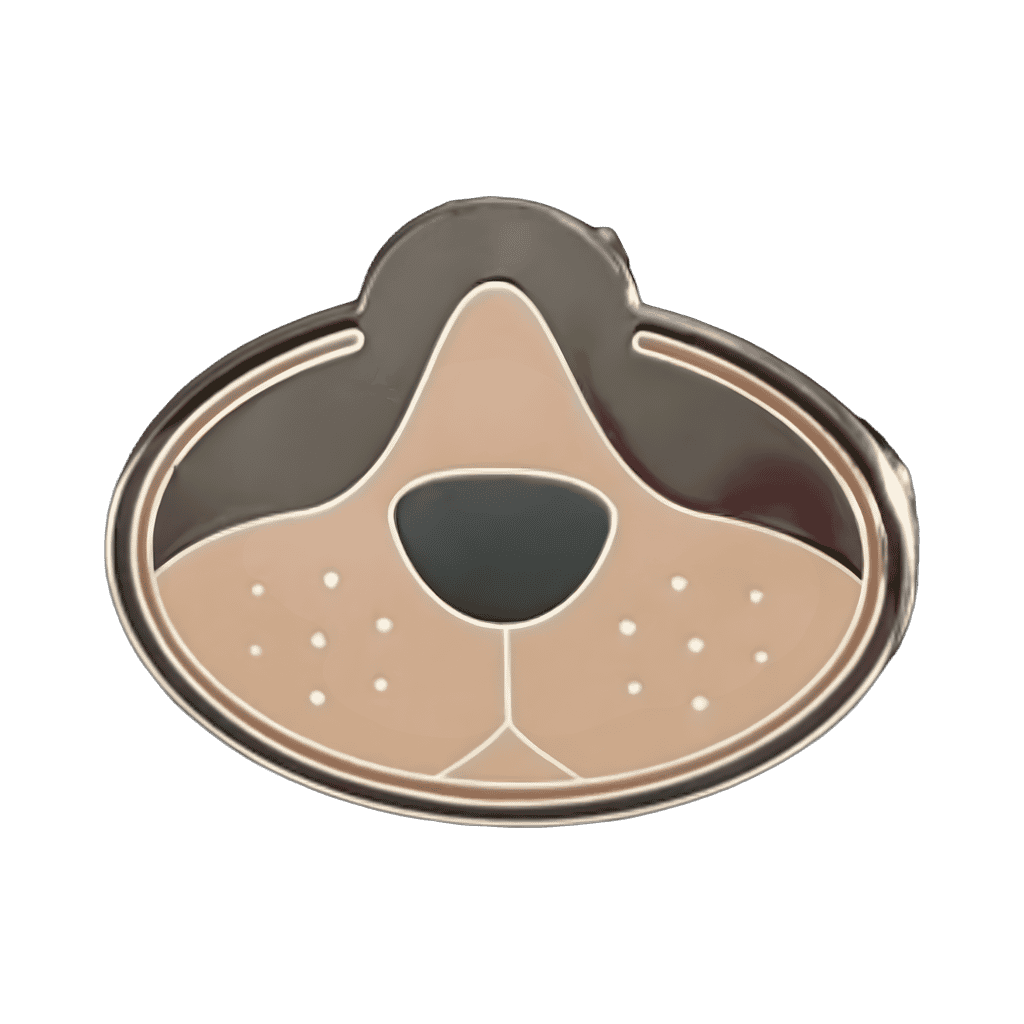 Bruno Disney pin