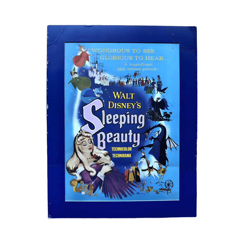 Sleeping Beauty Disney pin