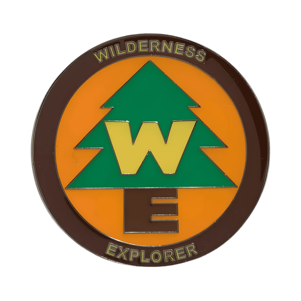 Up - Wilderness Explorer Badge Disney pin