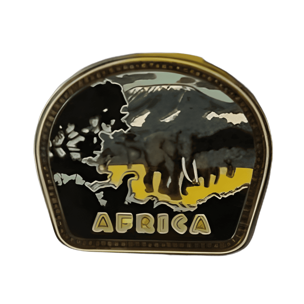 Africa Disney pin