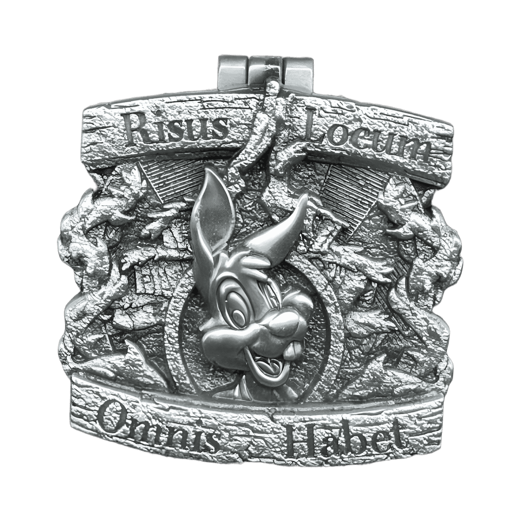 Splash Mountain (Risus Locum Omnis Habet) Disney pin