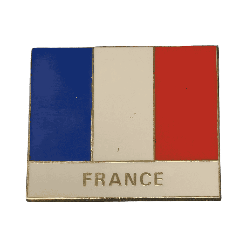 France Disney pin