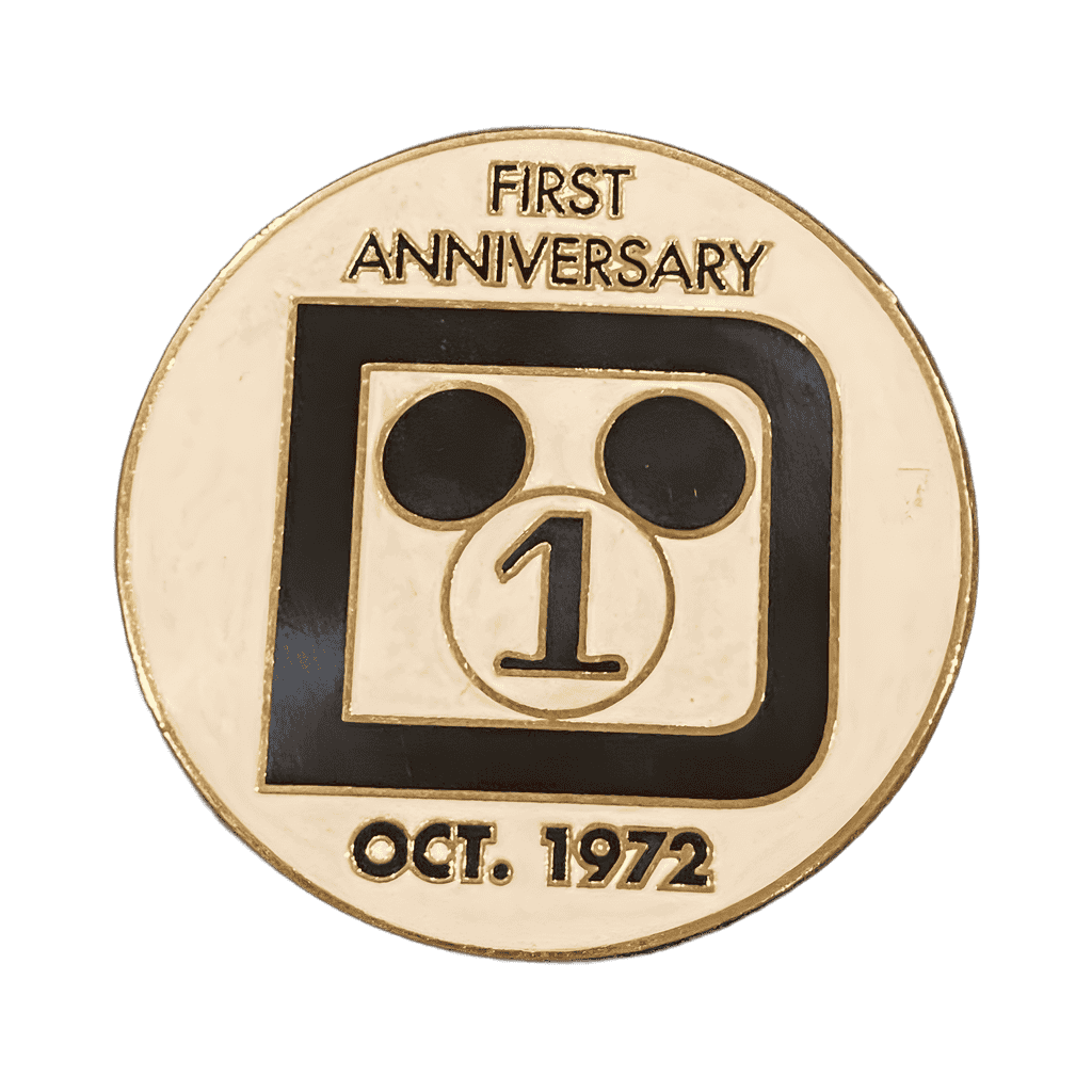 Disney World D (1st Anniversary) Disney pin