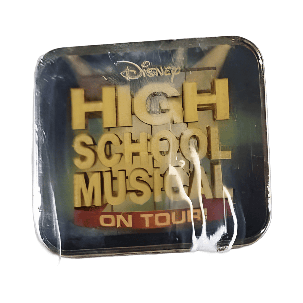 High School Musical on Tour Disney pin
