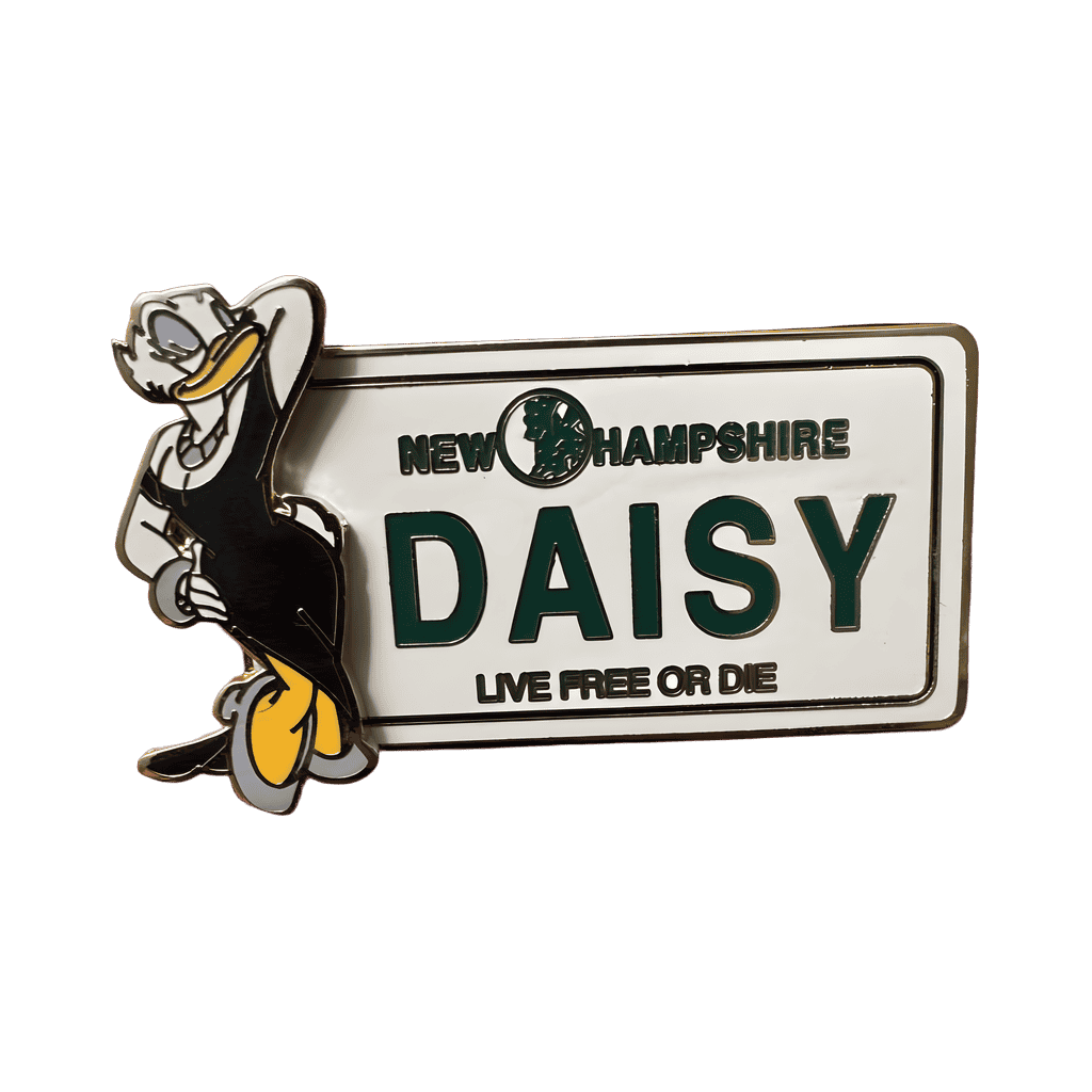 New Hampshire Disney pin