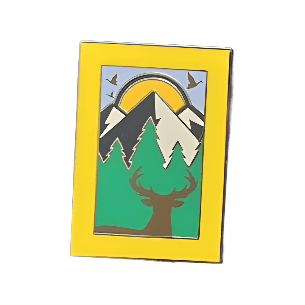National Geographic Disney pin