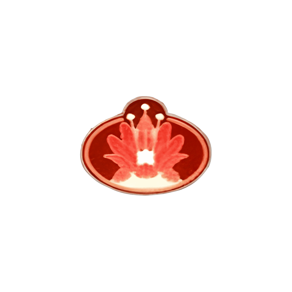 Chief Tui Disney pin