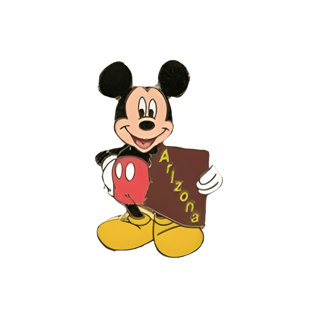 Arizona Disney pin