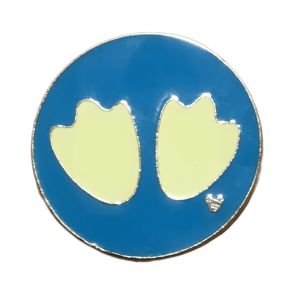 Donald Duck Disney pin