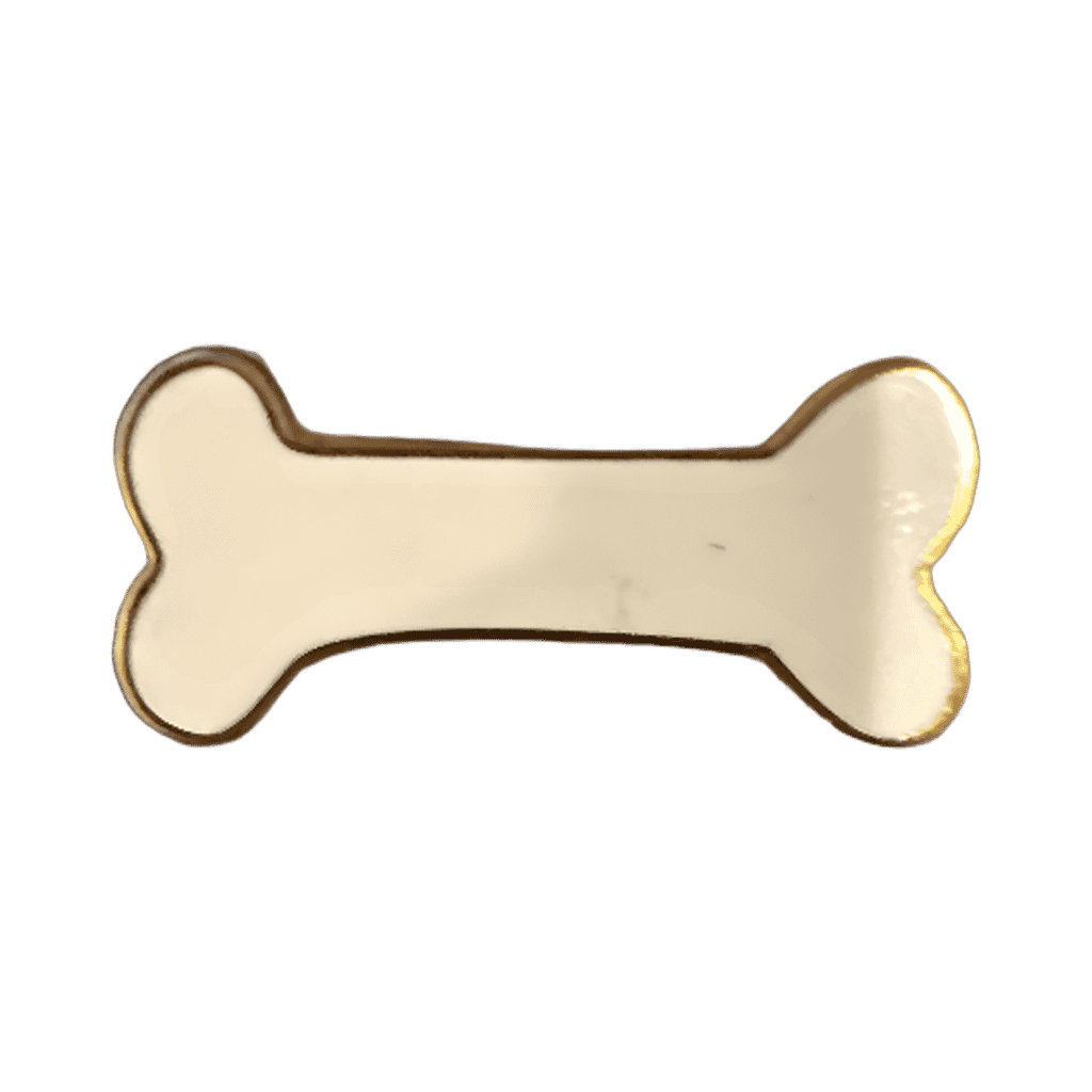 Dog Bone Disney pin