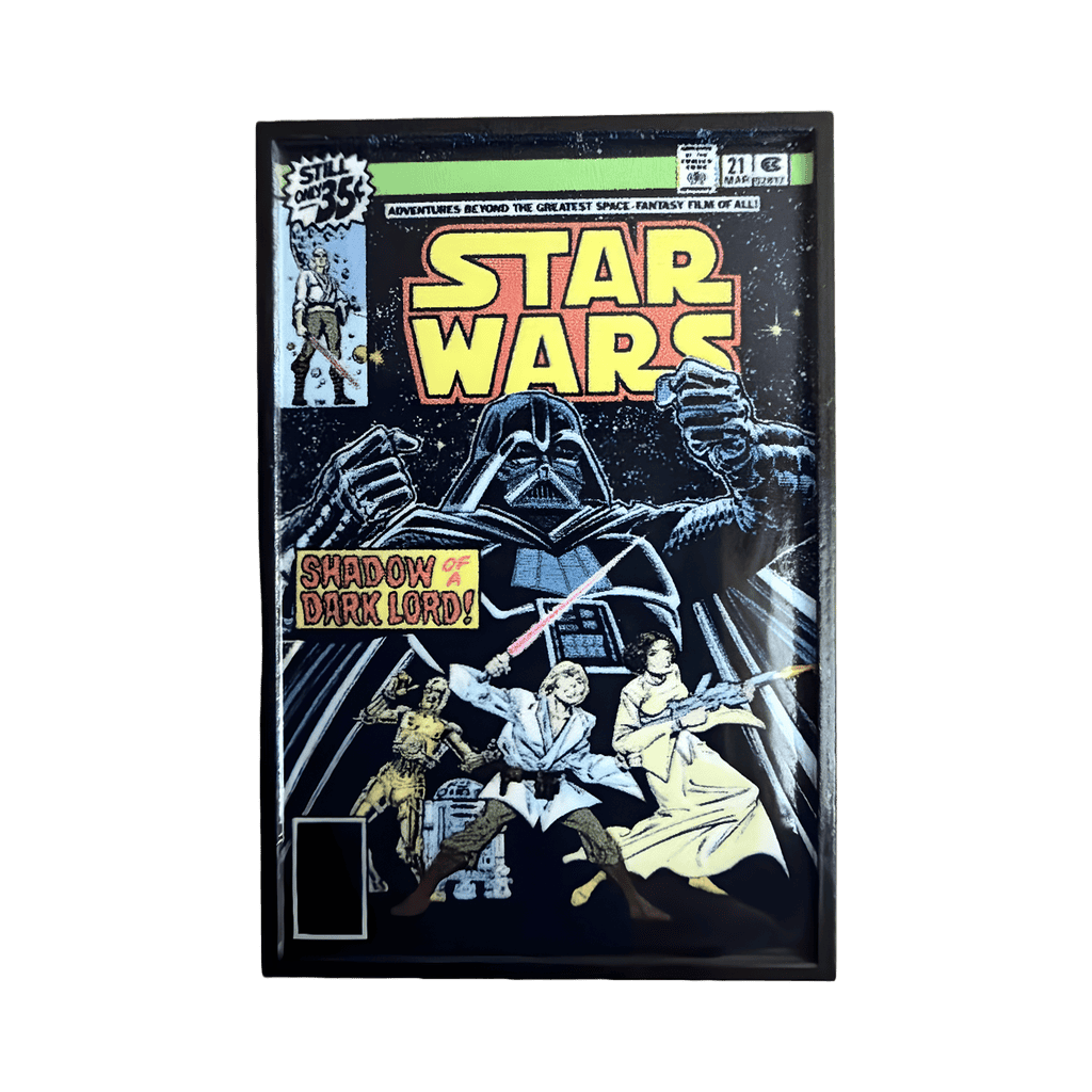 Shadow Of A Dark Lord/Darth Vader Disney pin