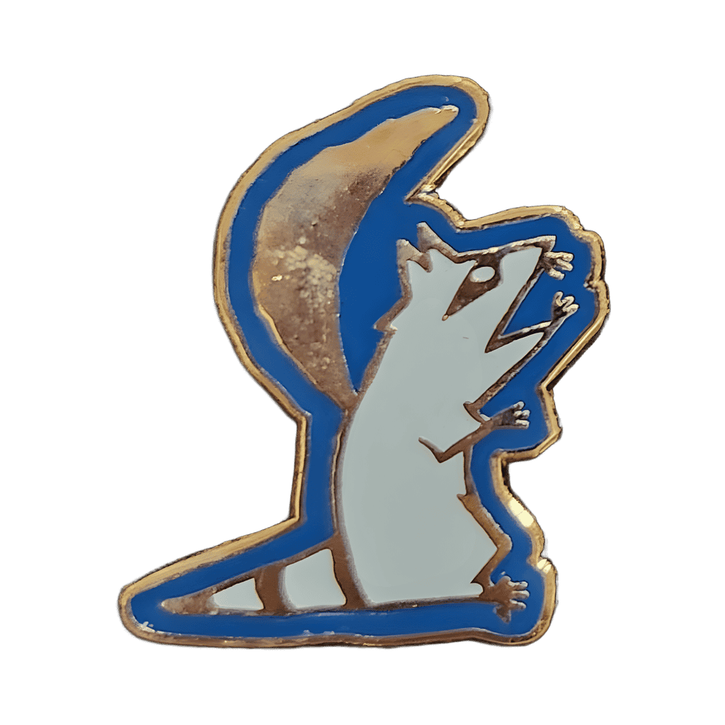 Meeko with Moon Disney pin