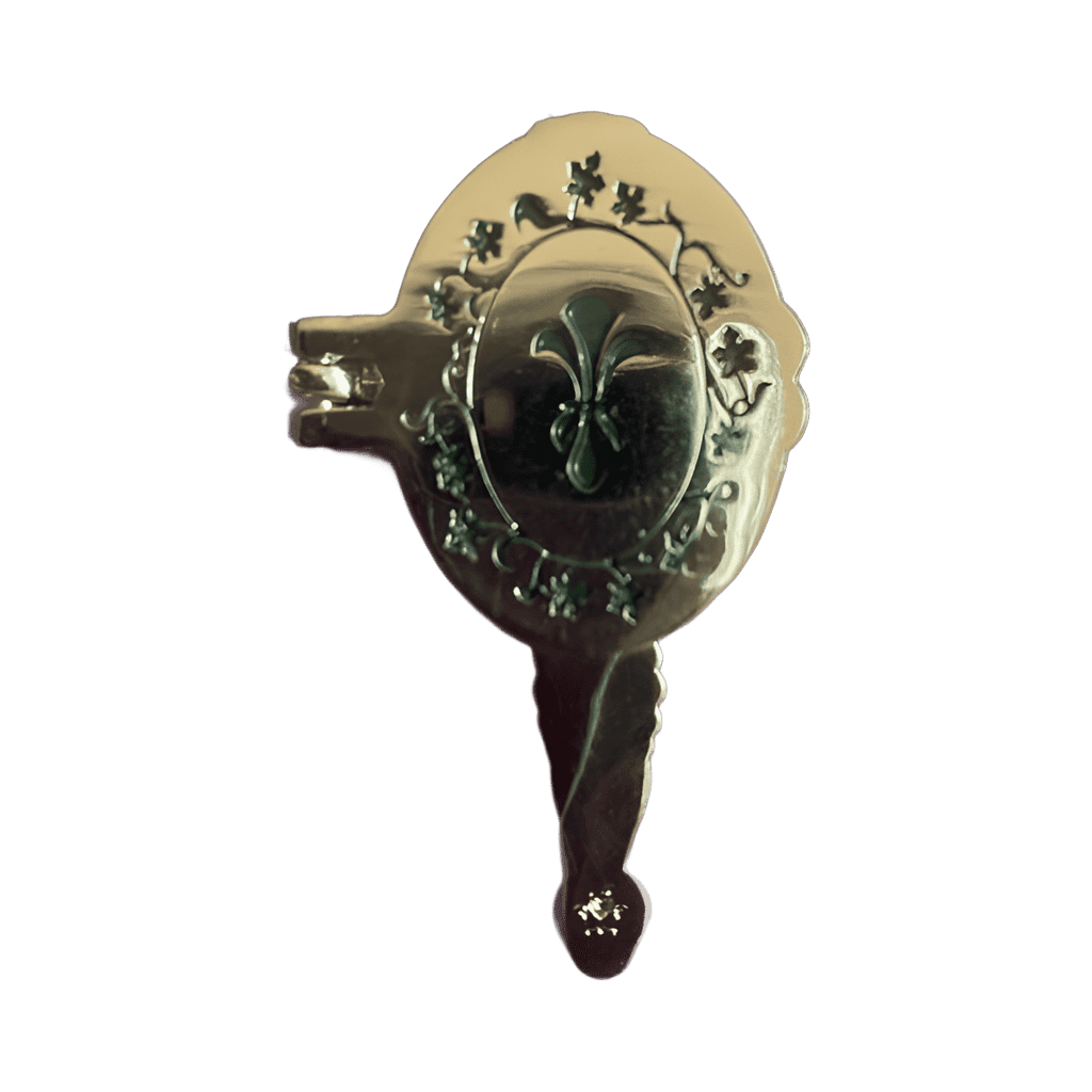 Aurora Mirror Disney pin