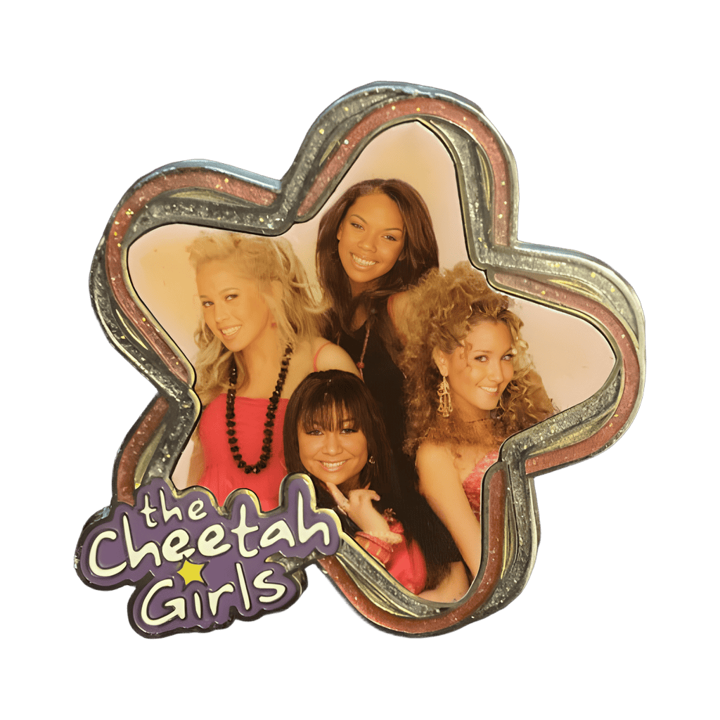 The Cheetah Girls Disney pin
