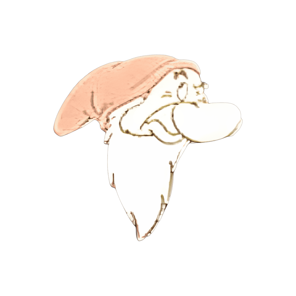 Grumpy Disney pin