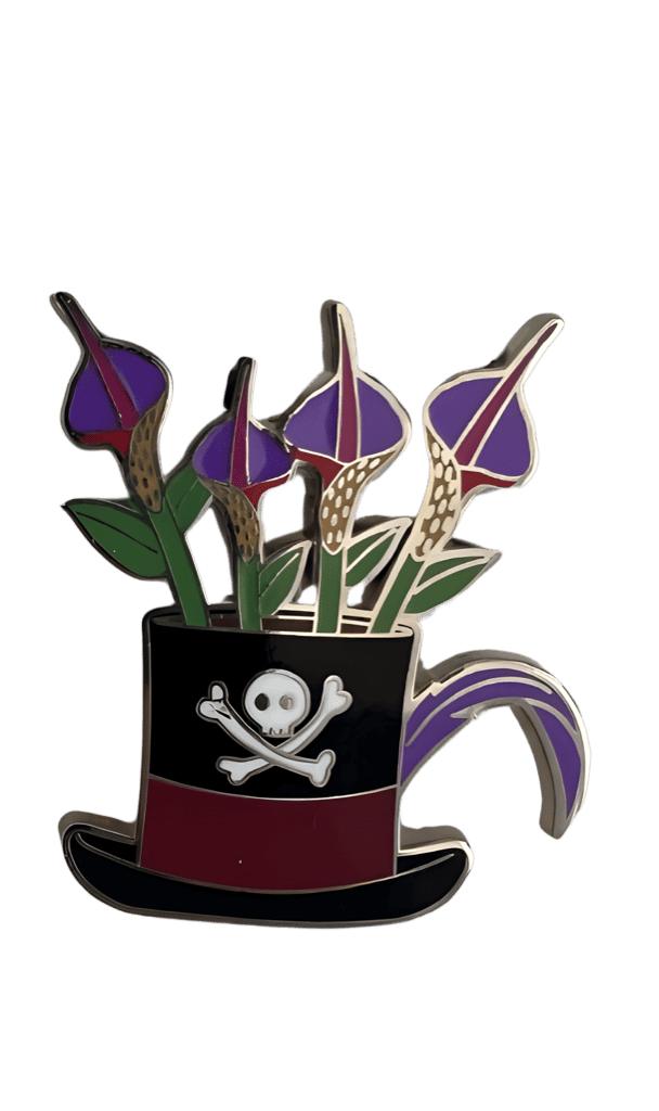 Dr. Facilier's Hat Disney pin