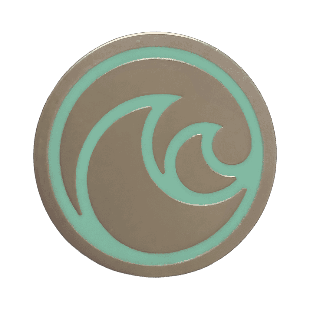The Seas Disney pin